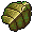 Beetle Carapace