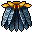 Calopteryx Cape