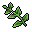 Catnip