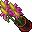 Flower Pot (Fairy Dancer, Grown Dry)