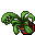 Flower Pot (Finger Snapper, Permanent)