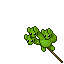 Hydra Balloon