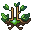 Leaf Crown