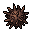 Thorn Seed