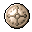 Viking Shield