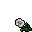 White Flower