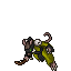 1st Mate Ratticus