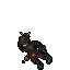 Assassin