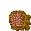 Brain Head