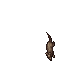 Cellar Rat