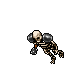Crypt Warrior