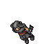 Dark Paladin