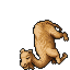 Dromedary
