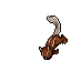 Enraged Squirrel