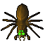 Giant Spider 7.6