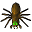 Giant Spider 7.6
