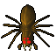 Giant Spider Hatchling 8.1