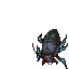 Herd Weevil