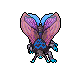 Hibernal Moth