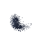 Insect Swarm