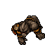 Kongra