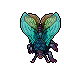 Lacewing Moth