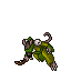 Little Corym Charlatan