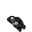 Midnight Warrior