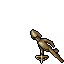 Mitmah Scout