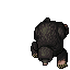 Mole