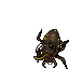 Mycobiontic Beetle