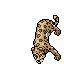 Mystic Jaguar