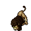 Noble Lion