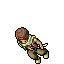 Nomad