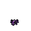 Orchid Frog