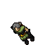 Paladin's Apparition