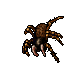 Phobia