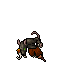 Pirat Cutthroat