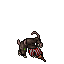 Pirat Patrol