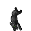 Ragged Rabid Wolf