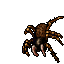 Sacred Spider