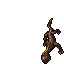 Salamander