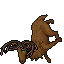 Stag