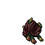 Two-Headed Turtle