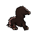 Wild Horse