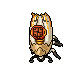 Satin Moth