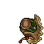 Tiger Slug